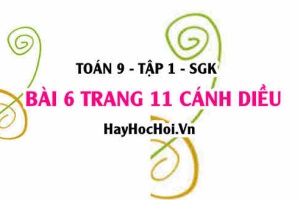 Bài 6 trang 11 Toán 9 tập 1 Cánh Diều